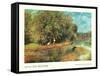 Chestnut Tree in Bloom-Unknown Renoir-Framed Stretched Canvas