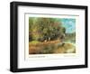 Chestnut Tree in Bloom-Unknown Renoir-Framed Art Print