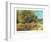 Chestnut Tree in Bloom-Unknown Renoir-Framed Art Print