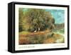 Chestnut Tree in Bloom-Unknown Renoir-Framed Stretched Canvas