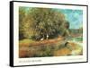 Chestnut Tree in Bloom-Unknown Renoir-Framed Stretched Canvas