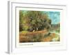 Chestnut Tree in Bloom-Unknown Renoir-Framed Art Print