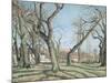 Chestnut Trees at Louveciennes, 1872-Camille Pissarro-Mounted Giclee Print