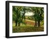 Chestnut Trees at Osny, C.1873-Camille Pissarro-Framed Giclee Print