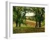 Chestnut Trees at Osny, C.1873-Camille Pissarro-Framed Giclee Print