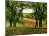 Chestnut Trees at Osny, C.1873-Camille Pissarro-Mounted Giclee Print