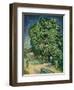 'Chestnut Trees in Blossom', 1890-Vincent van Gogh-Framed Premium Giclee Print