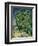 'Chestnut Trees in Blossom', 1890-Vincent van Gogh-Framed Premium Giclee Print