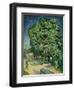 'Chestnut Trees in Blossom', 1890-Vincent van Gogh-Framed Premium Giclee Print