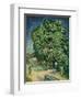 'Chestnut Trees in Blossom', 1890-Vincent van Gogh-Framed Premium Giclee Print