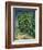 'Chestnut Trees in Blossom', 1890-Vincent van Gogh-Framed Giclee Print