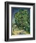 'Chestnut Trees in Blossom', 1890-Vincent van Gogh-Framed Giclee Print