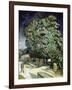 Chestnut Trees in Blossom, Auvers-Sur-Oise, 1890-Vincent van Gogh-Framed Premium Giclee Print