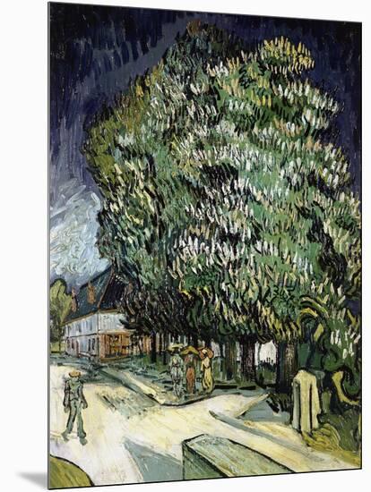 Chestnut Trees in Blossom, Auvers-Sur-Oise, 1890-Vincent van Gogh-Mounted Giclee Print