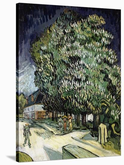 Chestnut Trees in Blossom, Auvers-Sur-Oise, 1890-Vincent van Gogh-Stretched Canvas