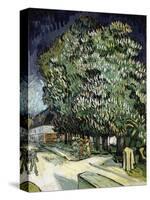 Chestnut Trees in Blossom-Vincent van Gogh-Stretched Canvas