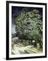 Chestnut Trees in Blossom-Vincent van Gogh-Framed Giclee Print