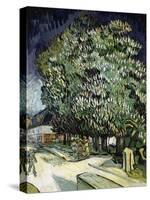 Chestnut Trees in Blossom-Vincent van Gogh-Stretched Canvas