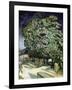 Chestnut Trees in Blossom-Vincent van Gogh-Framed Giclee Print