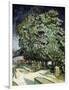 Chestnut Trees in Blossom-Vincent van Gogh-Framed Giclee Print