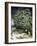 Chestnut Trees in Blossom-Vincent van Gogh-Framed Giclee Print