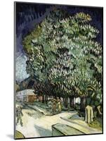 Chestnut Trees in Blossom-Vincent van Gogh-Mounted Giclee Print