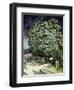 Chestnut Trees in Blossom-Vincent van Gogh-Framed Giclee Print