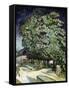 Chestnut Trees in Blossom-Vincent van Gogh-Framed Stretched Canvas