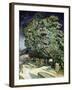 Chestnut Trees in Blossom-Vincent van Gogh-Framed Giclee Print