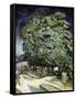 Chestnut Trees in Blossom-Vincent van Gogh-Framed Stretched Canvas