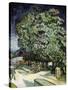 Chestnut Trees in Blossom-Vincent van Gogh-Stretched Canvas