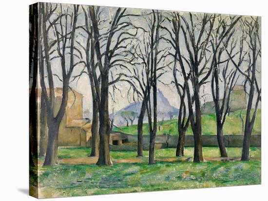 Chestnut Trees-Paul Cezanne-Stretched Canvas