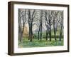 Chestnut Trees-Paul Cezanne-Framed Giclee Print