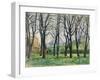 Chestnut Trees-Paul Cezanne-Framed Giclee Print