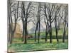 Chestnut Trees-Paul Cezanne-Mounted Giclee Print