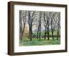 Chestnut Trees-Paul Cezanne-Framed Giclee Print