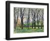 Chestnut Trees-Paul Cezanne-Framed Giclee Print