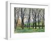 Chestnut Trees-Paul Cezanne-Framed Giclee Print