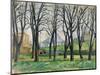 Chestnut Trees-Paul Cezanne-Mounted Giclee Print