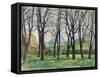 Chestnut Trees-Paul Cezanne-Framed Stretched Canvas