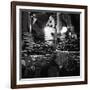 Chestnuts and Pretzels-Evan Morris Cohen-Framed Photographic Print