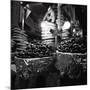 Chestnuts and Pretzels-Evan Morris Cohen-Mounted Photographic Print