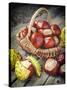 Chestnuts in Basket-ChamilleWhite-Stretched Canvas