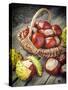 Chestnuts in Basket-ChamilleWhite-Stretched Canvas