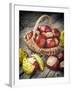 Chestnuts in Basket-ChamilleWhite-Framed Photographic Print