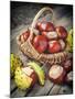 Chestnuts in Basket-ChamilleWhite-Mounted Photographic Print