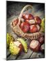 Chestnuts in Basket-ChamilleWhite-Mounted Photographic Print