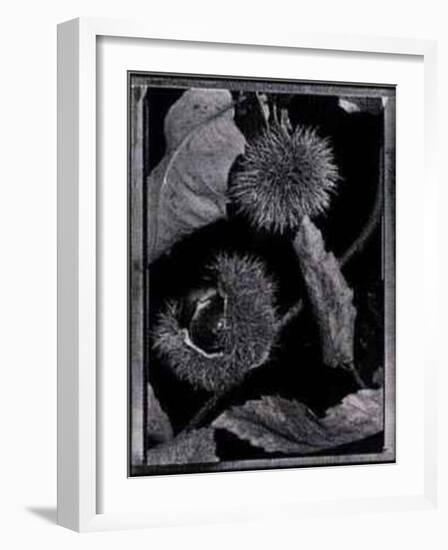 Chestnuts-Augusto Camino-Framed Art Print