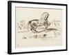 Cheval cabré dans un paysage et autres études de chevaux-Eugene Delacroix-Framed Giclee Print