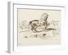 Cheval cabré dans un paysage et autres études de chevaux-Eugene Delacroix-Framed Giclee Print